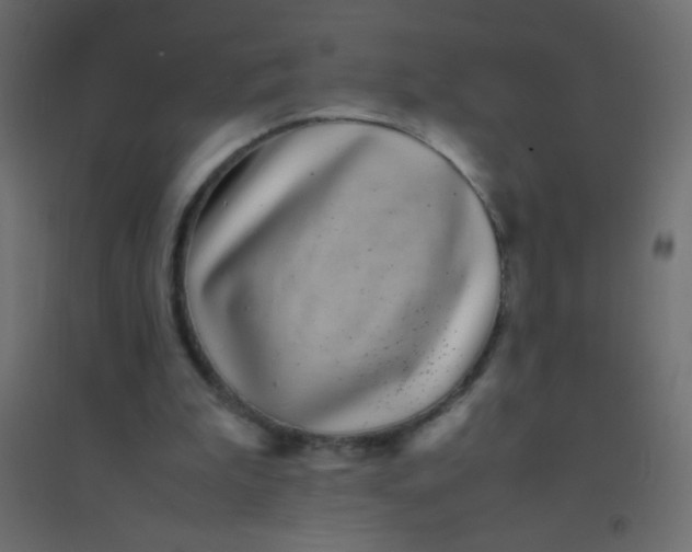 X0000094930199200712131545