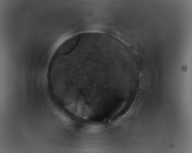 X0000094930200200712131545