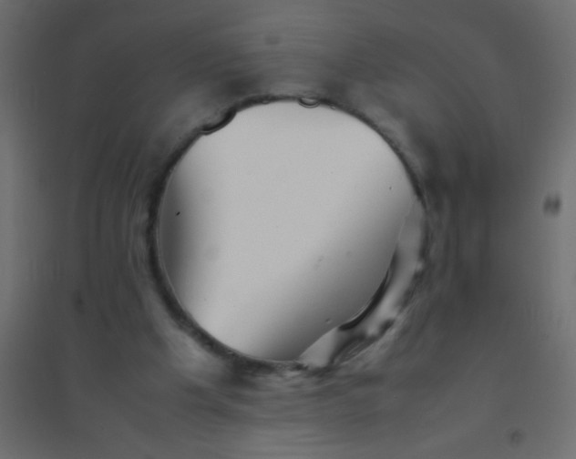 X0000094930201200712131545