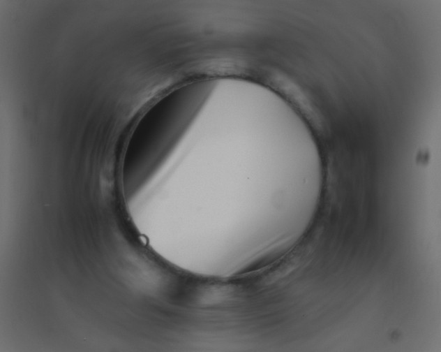 X0000094930202200712131545