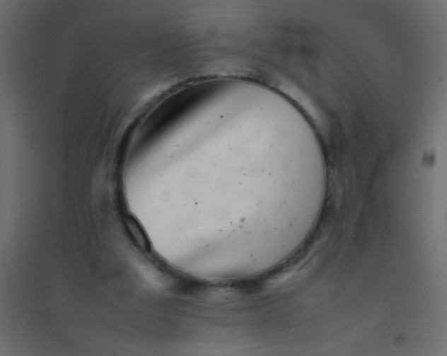 X0000094930203200712131545