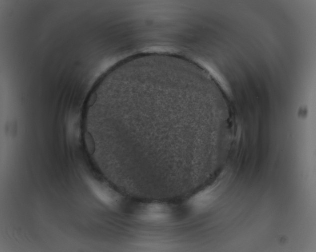 X0000094930204200712131545