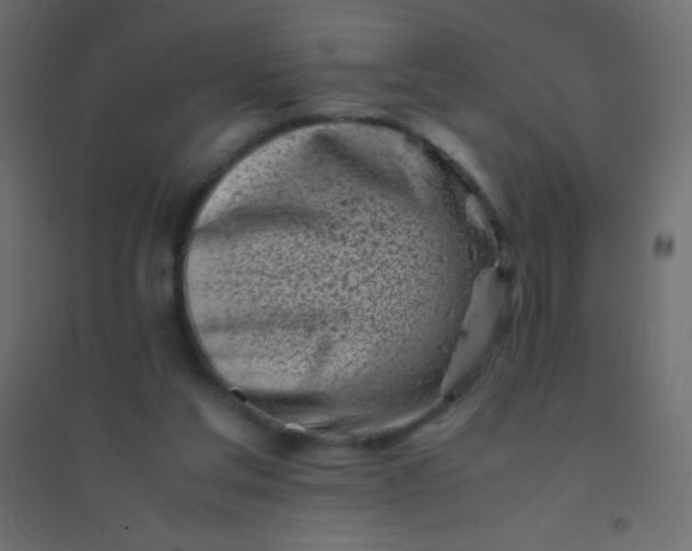 X0000094930205200712131545