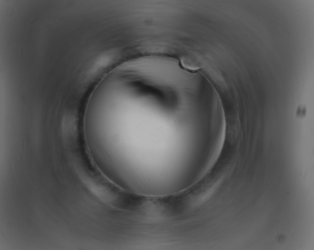 X0000094930207200712131545