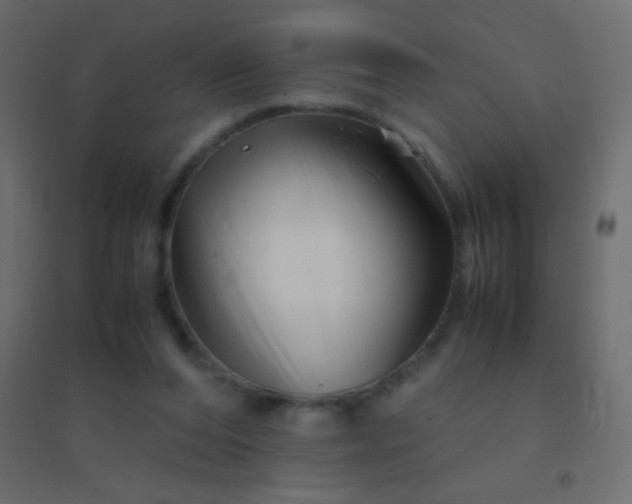 X0000094930208200712131545