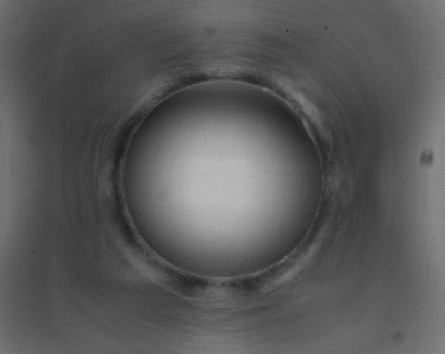 X0000094930209200712131545