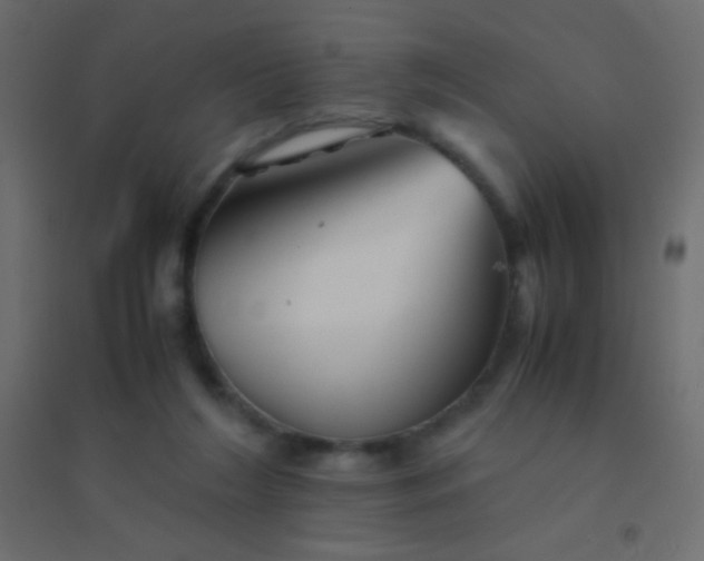 X0000094930212200712131545