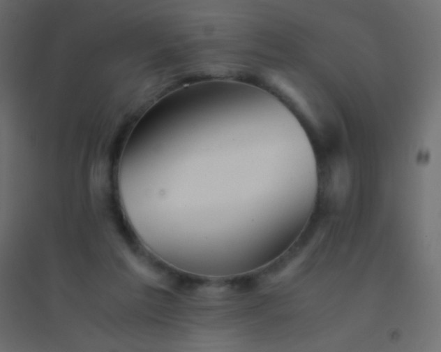 X0000094930213200712131545