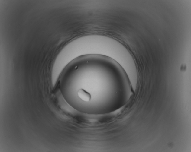 X0000094930215200712131545
