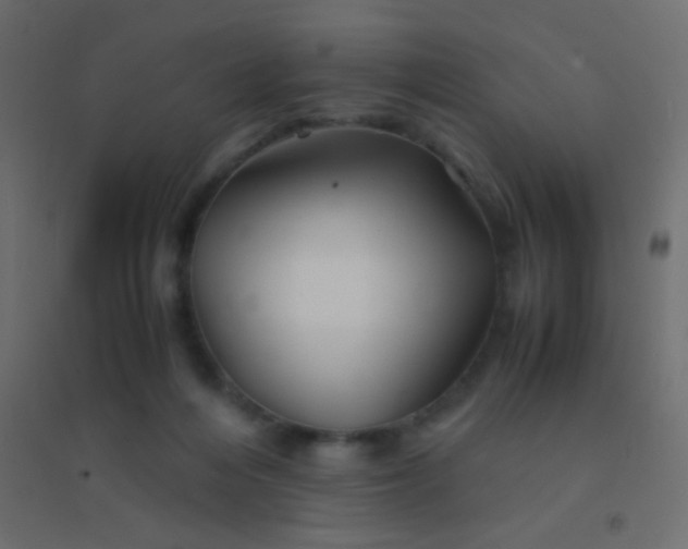 X0000094930216200712131545