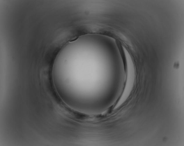 X0000094930217200712131545