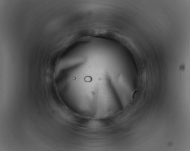 X0000094930218200712131545