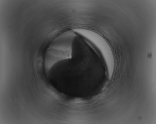 X0000094930219200712131545