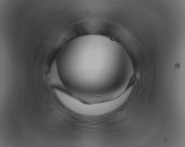 X0000094930221200712131545