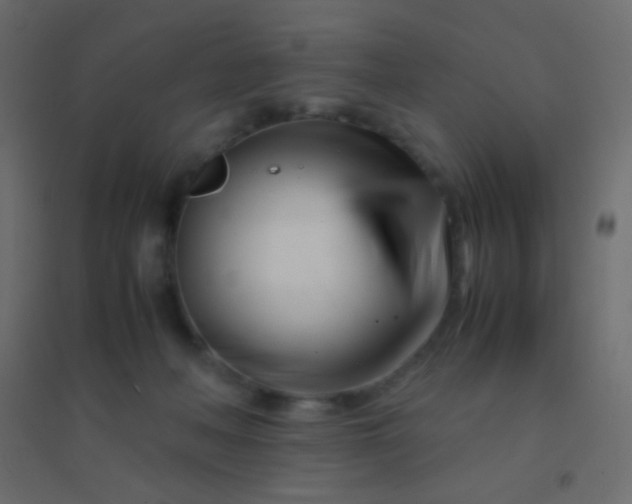 X0000094930222200712131545