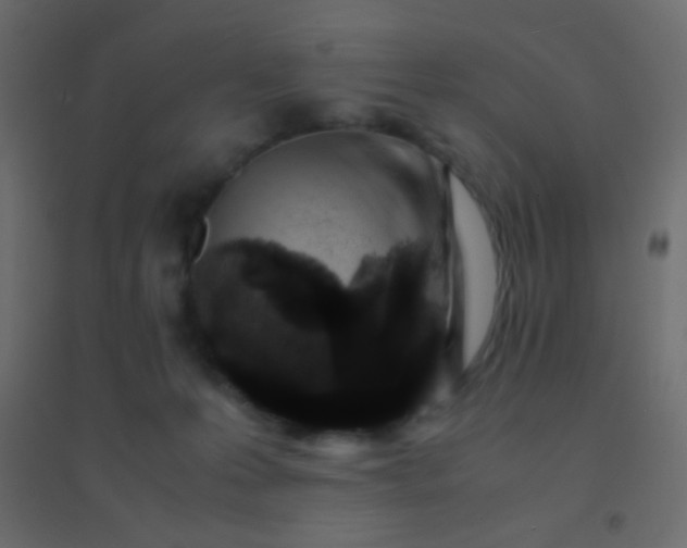 X0000094930223200712131545