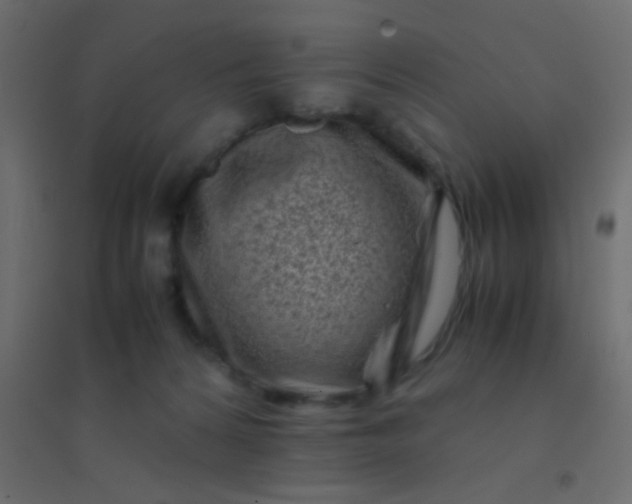 X0000094930224200712131545