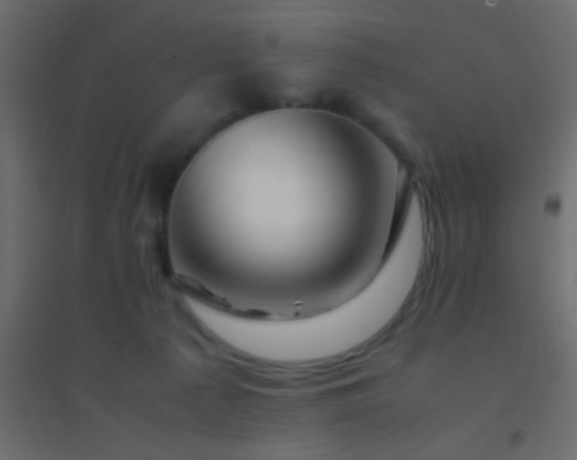 X0000094930225200712131545