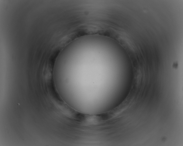 X0000094930226200712131545