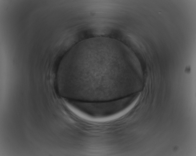 X0000094930227200712131545