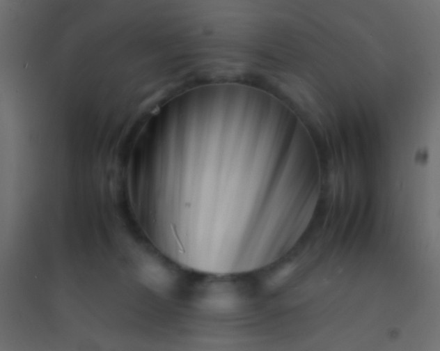 X0000094930228200712131545