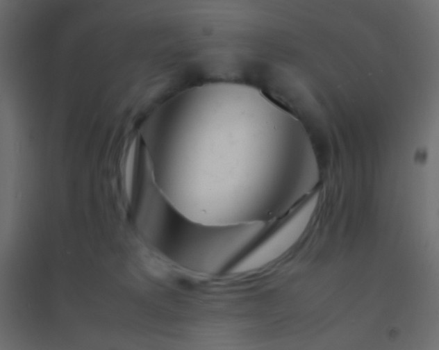 X0000094930229200712131545