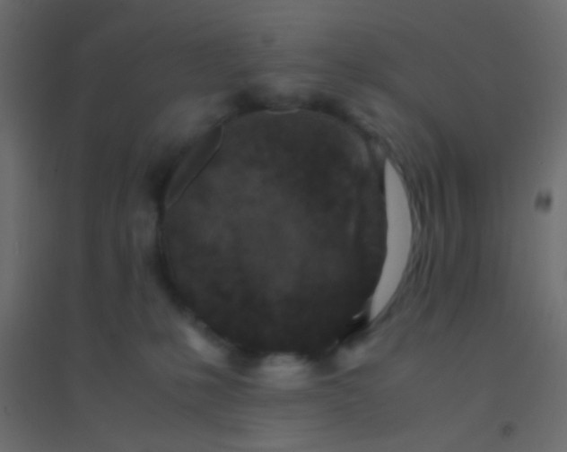 X0000094930231200712131544
