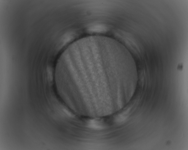 X0000094930232200712131544