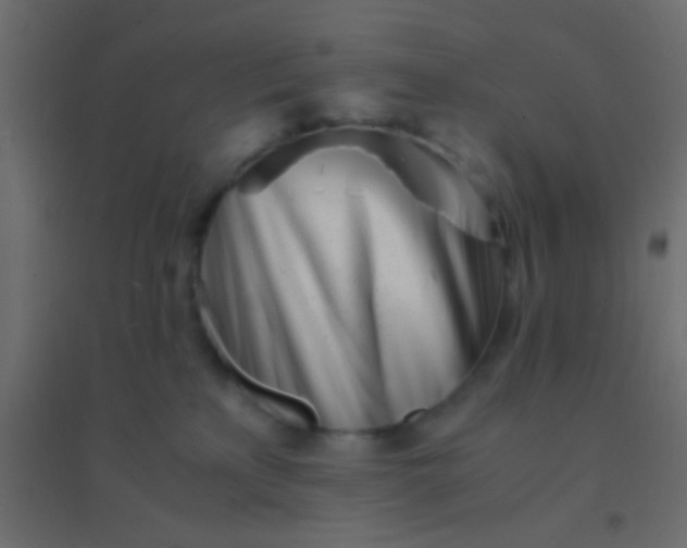 X0000094930233200712131544