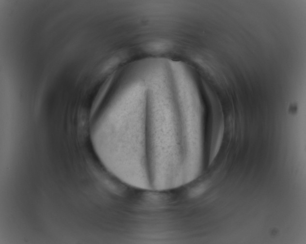 X0000094930234200712131544