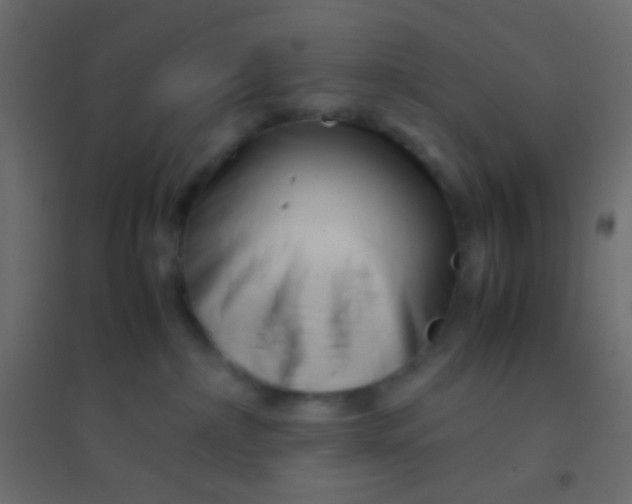 X0000094930236200712131544