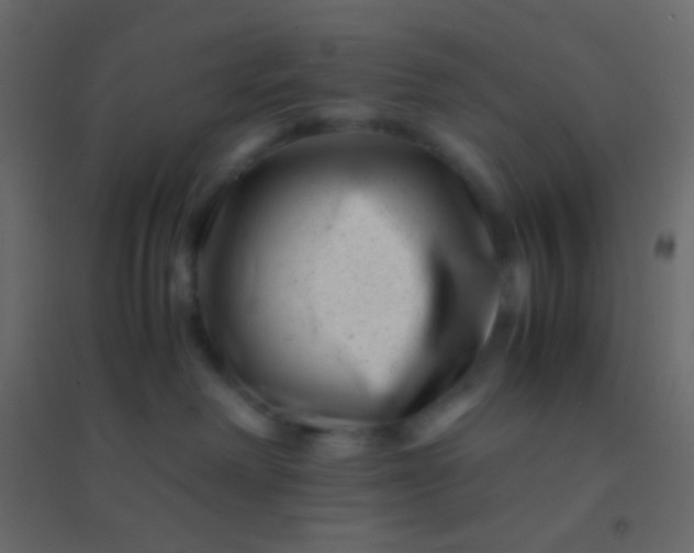 X0000094930238200712131544