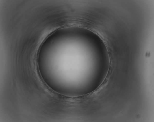 X0000094930241200712131544