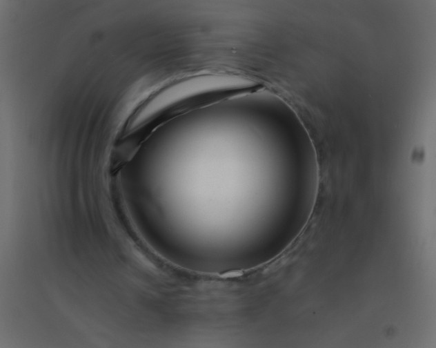 X0000094930242200712131544