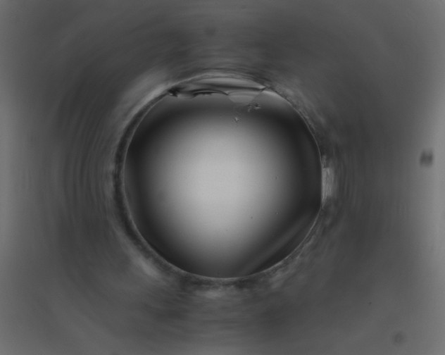 X0000094930243200712131544