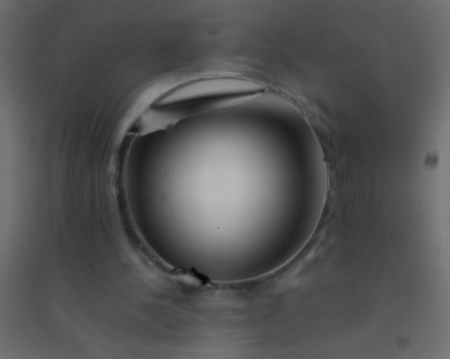 X0000094930244200712131544