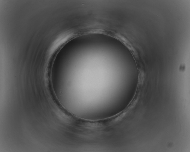 X0000094930245200712131544