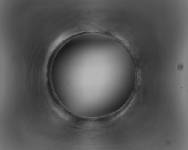 X0000094930246200712131544