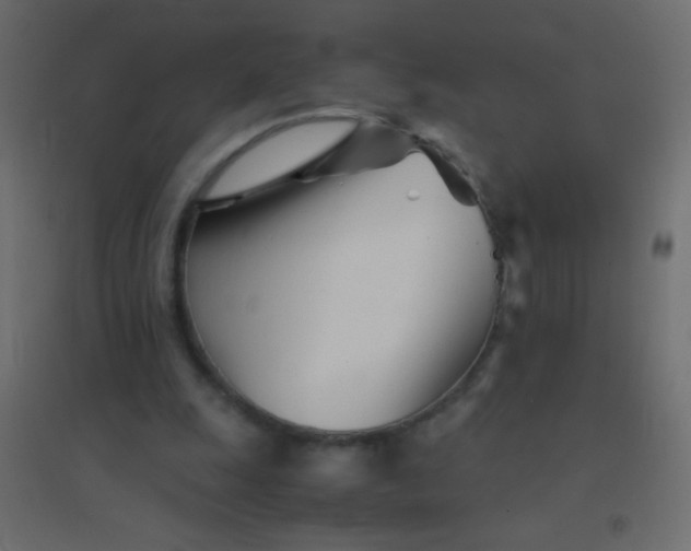 X0000094930247200712131544
