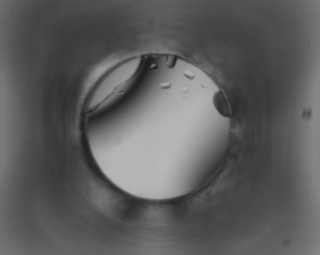X0000094930248200712131544