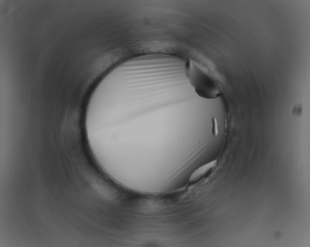 X0000094930250200712131544