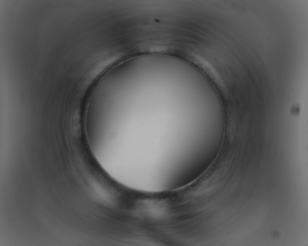 X0000094930251200712131544