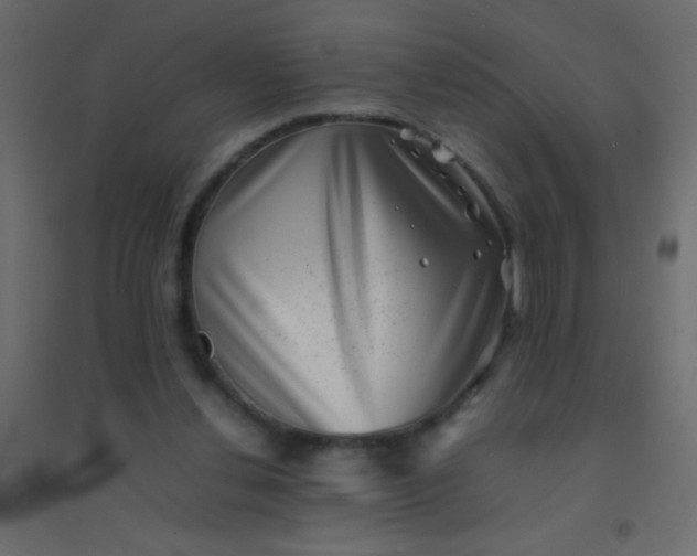 X0000094930252200712131544