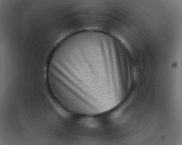 X0000094930253200712131544