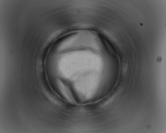 X0000094930254200712131544