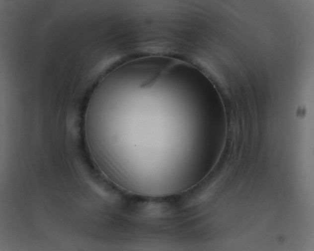 X0000094930255200712131544
