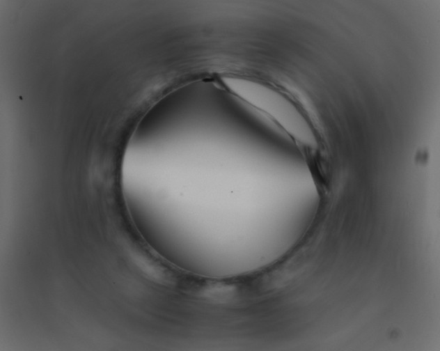 X0000094930257200712131544