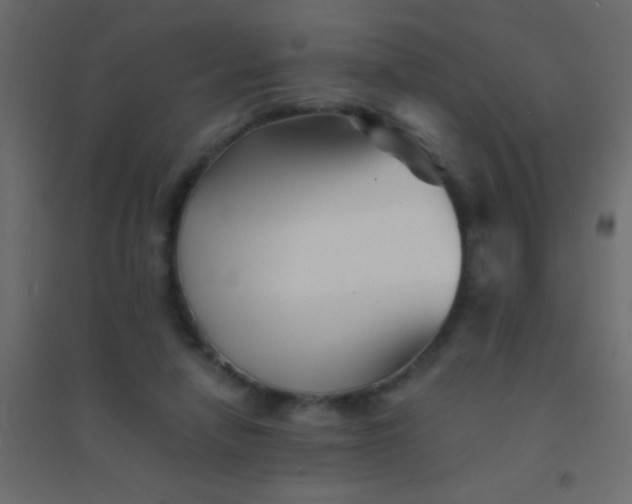 X0000094930258200712131544