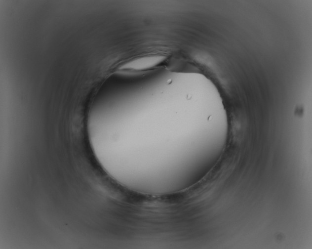 X0000094930259200712131544