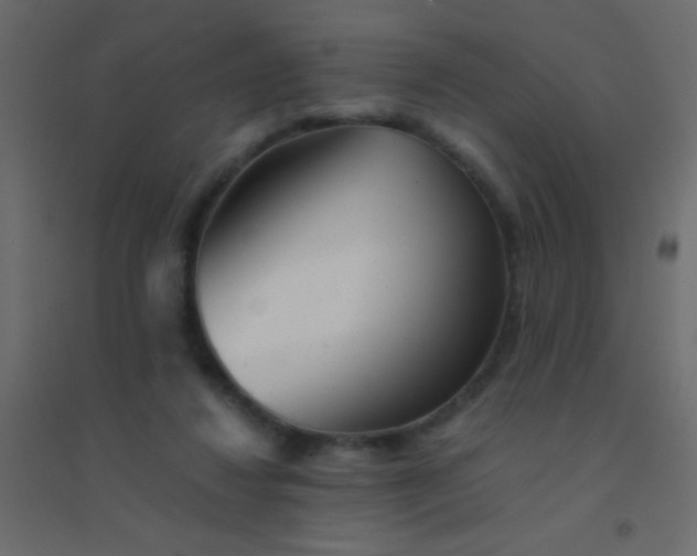 X0000094930260200712131544